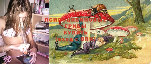 прущая мука Осташков