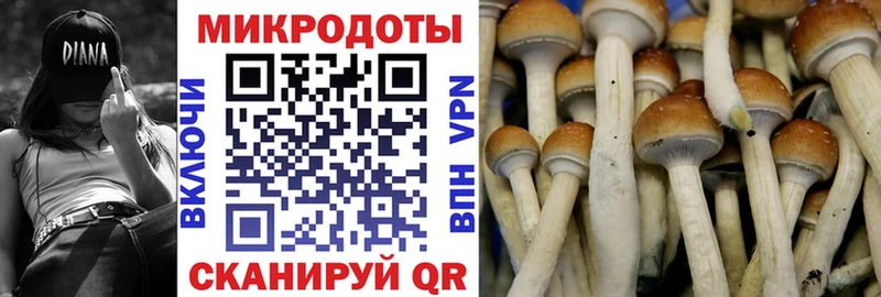 Псилоцибиновые грибы Psilocybine cubensis  Азнакаево 